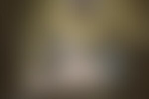 Фотография квеста Ограбление банка от компании Фобия (Фото 3)